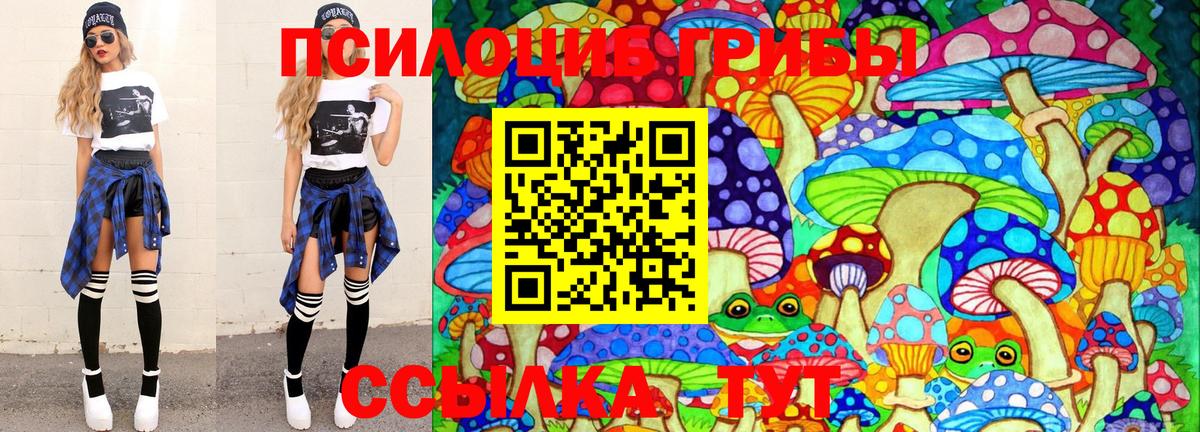 Псилоцибиновые грибы Magic Shrooms Свободный