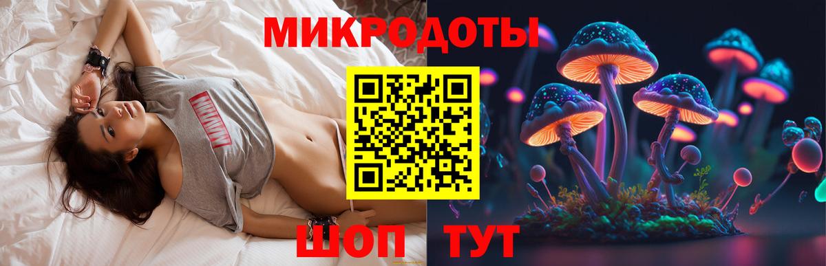 наркота  Вход с VPN  Свободный  Псилоцибиновые грибы мицелий  Галлюциногенные грибы Psilocybine cubensis 