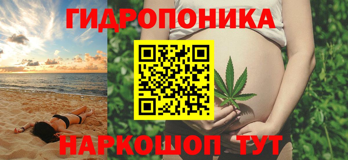 Шишки марихуана OG Kush Свободный